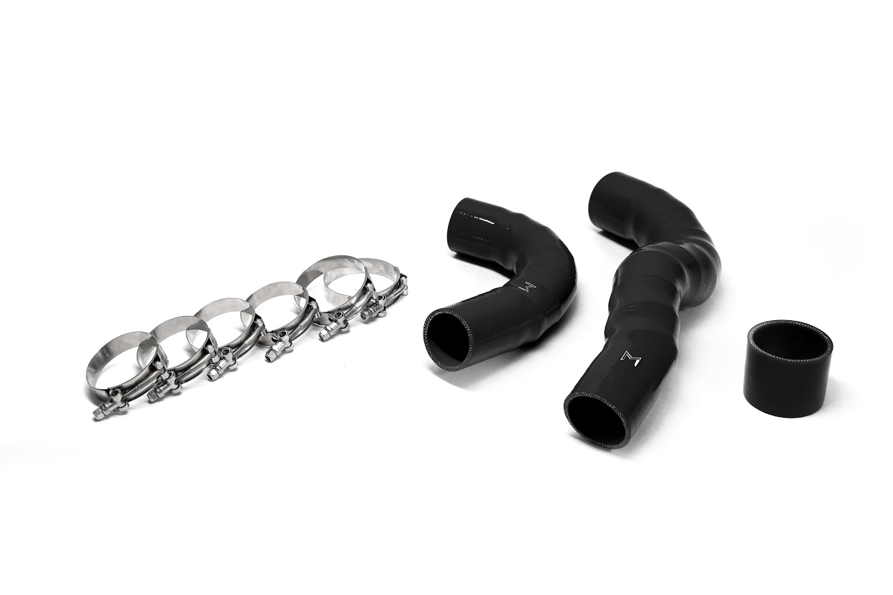 fl5-civic-type-r-clamps-and-silicone