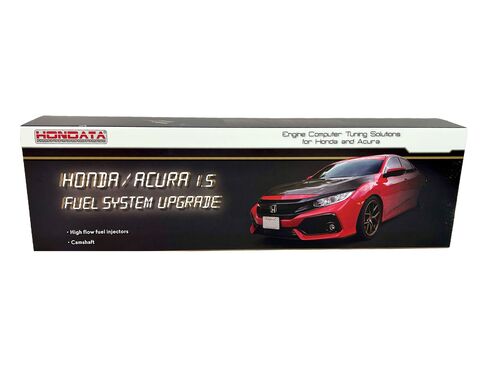 The complete L15 Hondata Civic Si Fuel Kit